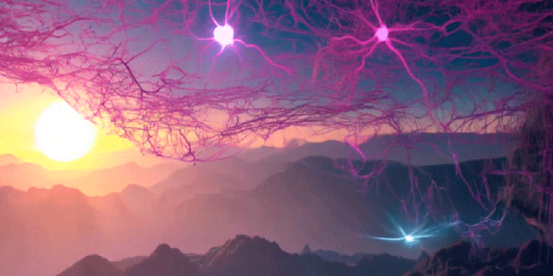 NI - articulo psicologia ambiente luminico